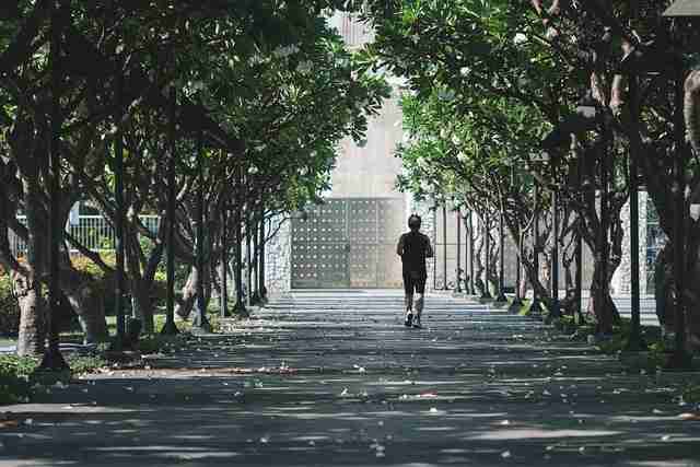 汤头条网页版粉丝狂欢全景复盘:技术拆解冷静思考